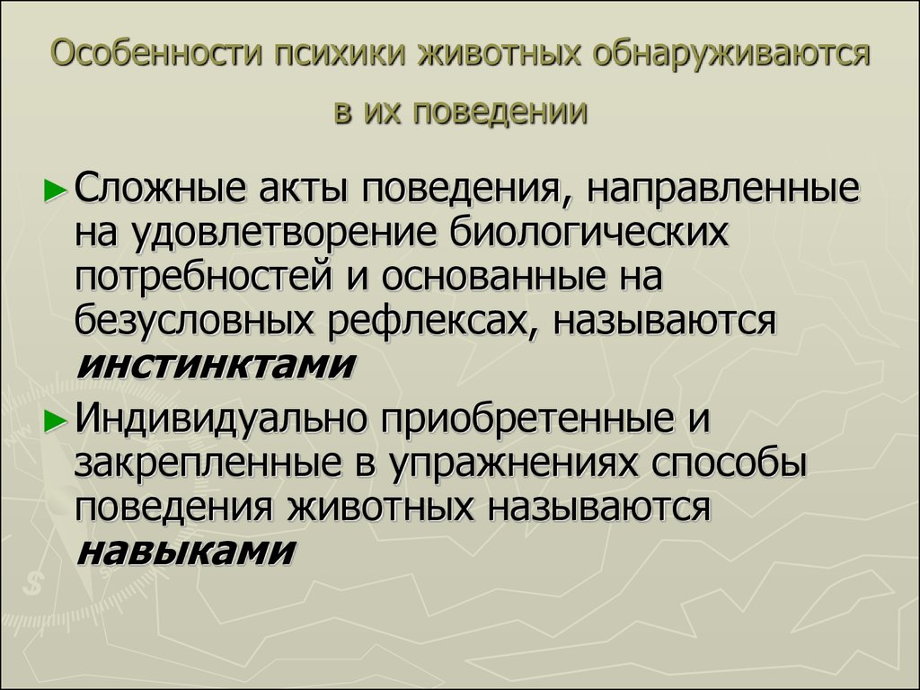 Чем психика человека отличается от психики животного