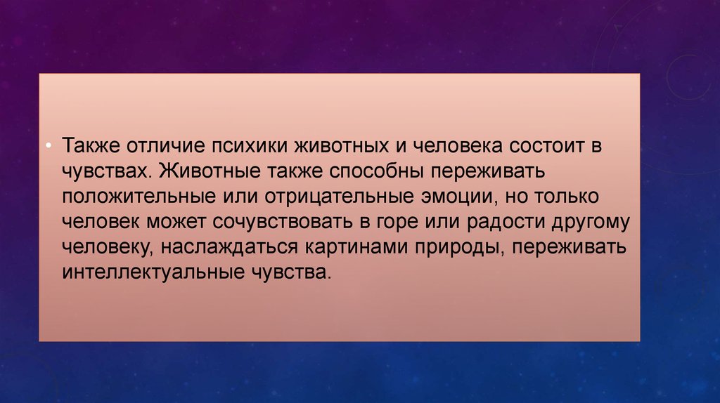 Чем психика человека отличается от психики животного