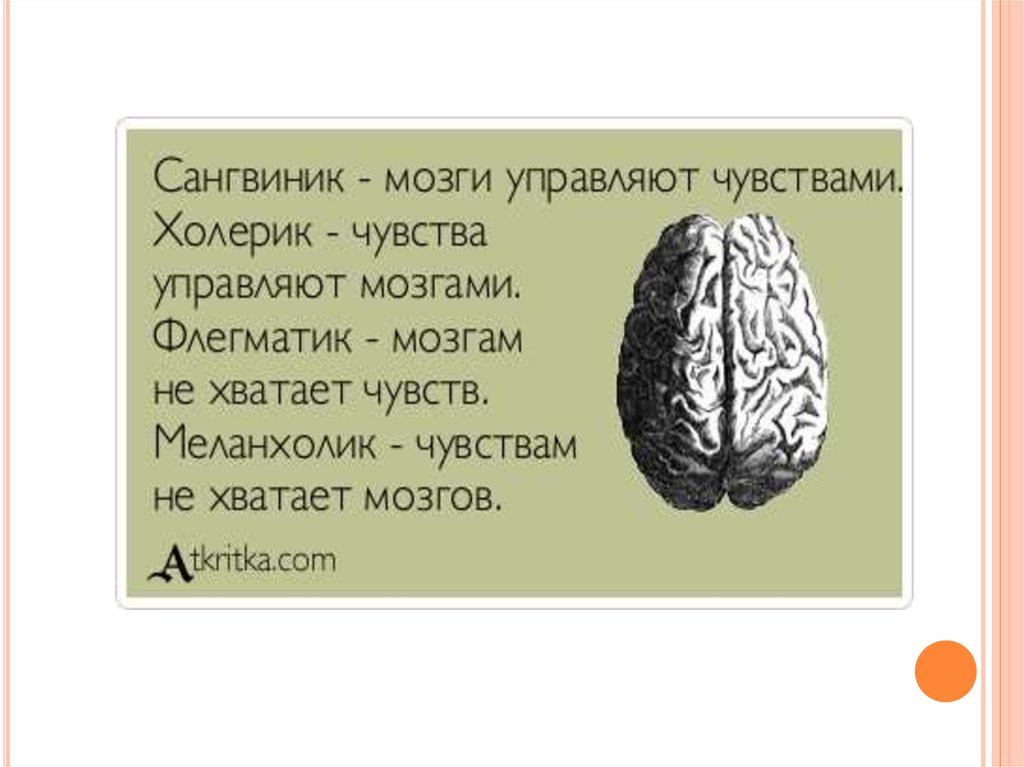 Мы есть у мозга. Крокодилы ходят лежа. Лохматить бабушку. Мозг прикол. Смешные фразы про мозг.