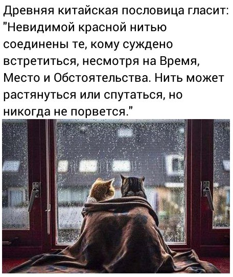 Невидимая нить соединяет тех