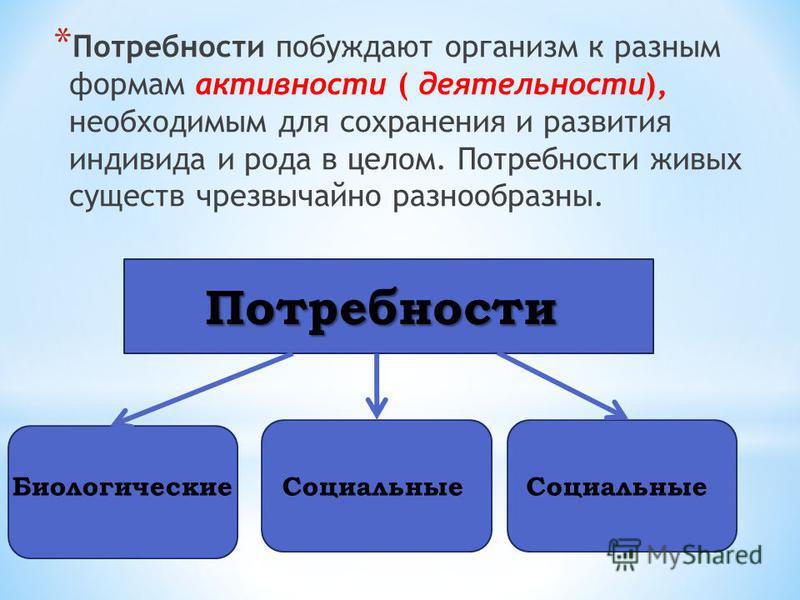 Потребность начальная форма. Потребности живых организмов. Потребность это физиология. Живой организм основные потребности. Физиолог потребности.