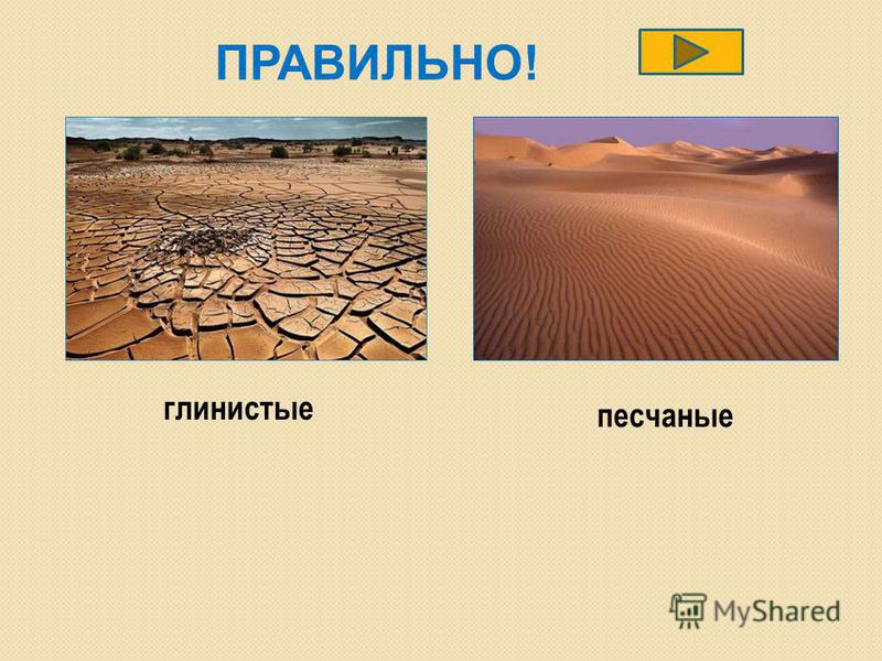 Проективный тест пустыня. Пустыни песчаные и глинистые.