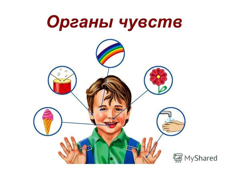 Здоровья органов чувств