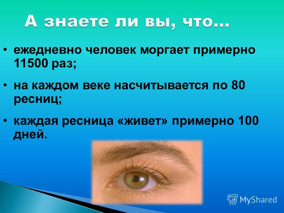 Ежедневно это сколько раз в день. Сколько человек моргает в день. Сколько раз человек моргает в сутки. Сколько рас в Бень человек мороает. Почему человек не моргает.