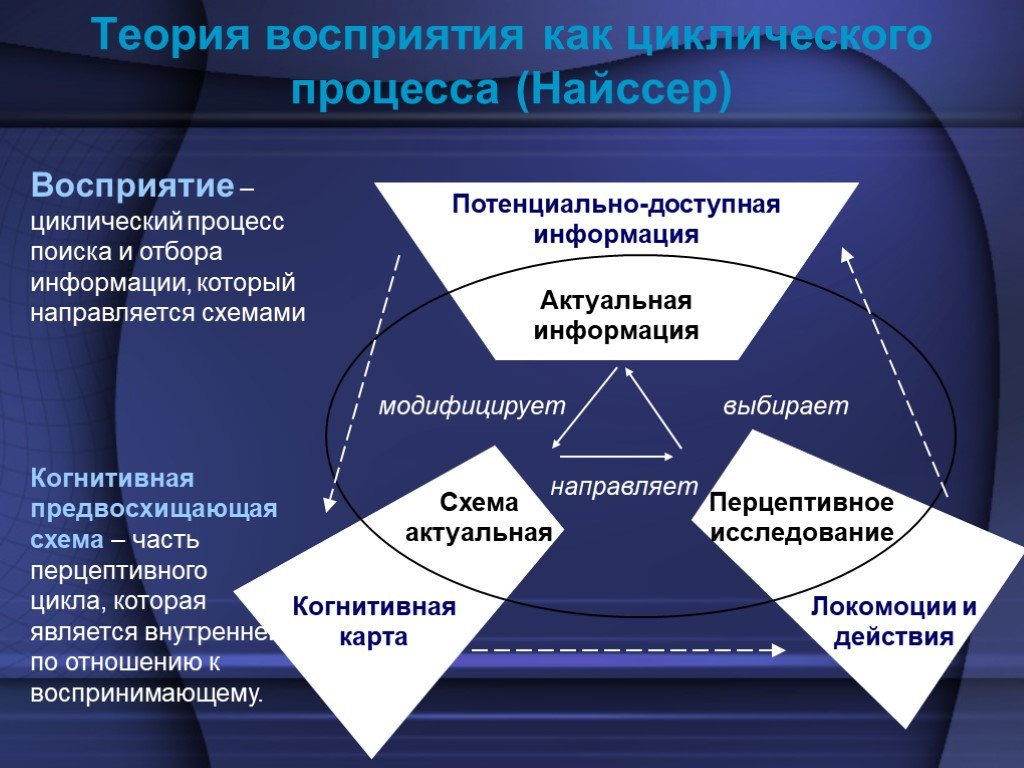 Теория циклических процессов. Теория восприятия Найссера. Теория перцептивного цикла у Найссера. Теория восприятия как циклического процесса.. Теории восприятия в психологии.