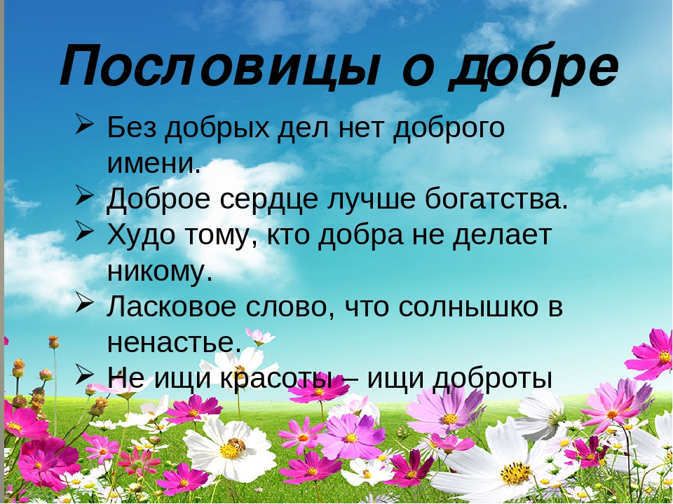 План текста добрый совет