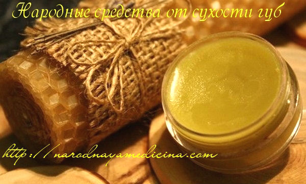сохнут и трескаются губы