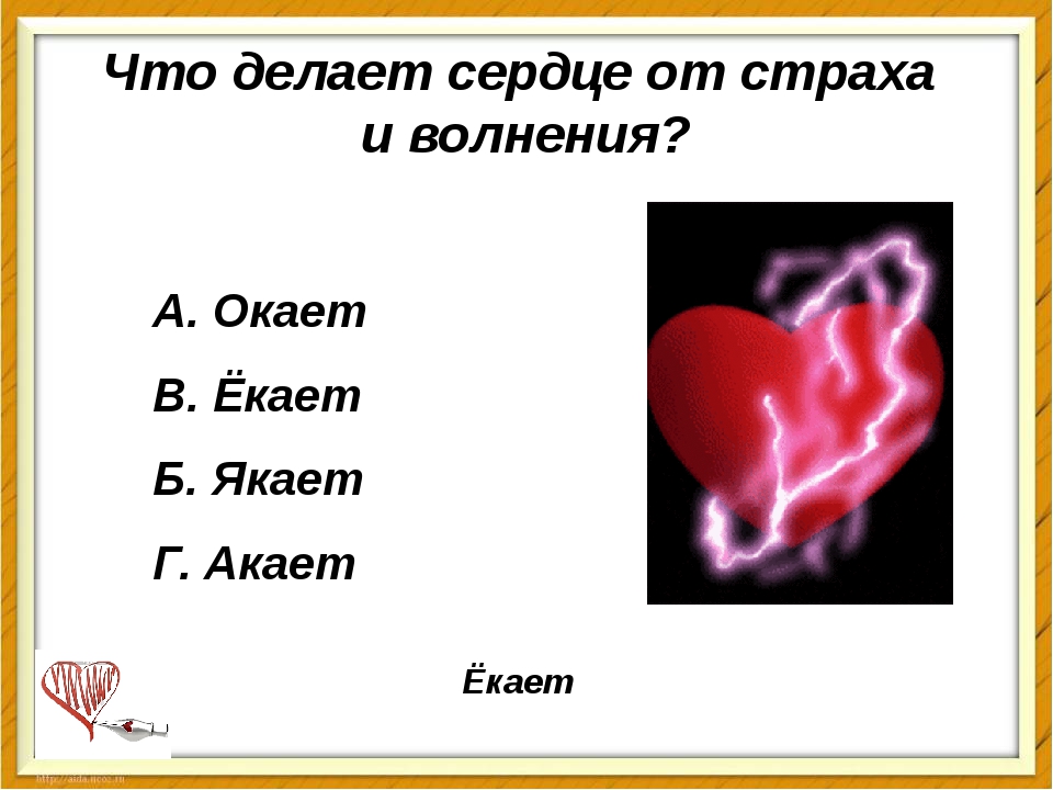 Ну почему так сердце. Почему сердце не останавливается. Ёкнуло сердце.