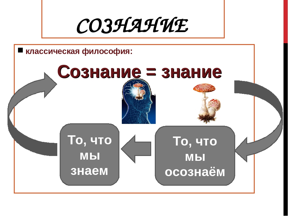 Сознание и деятельность философия. Сознание и познание в философии. Знание и сознание. Сознание (философия). Сознание и познание Обществознание.