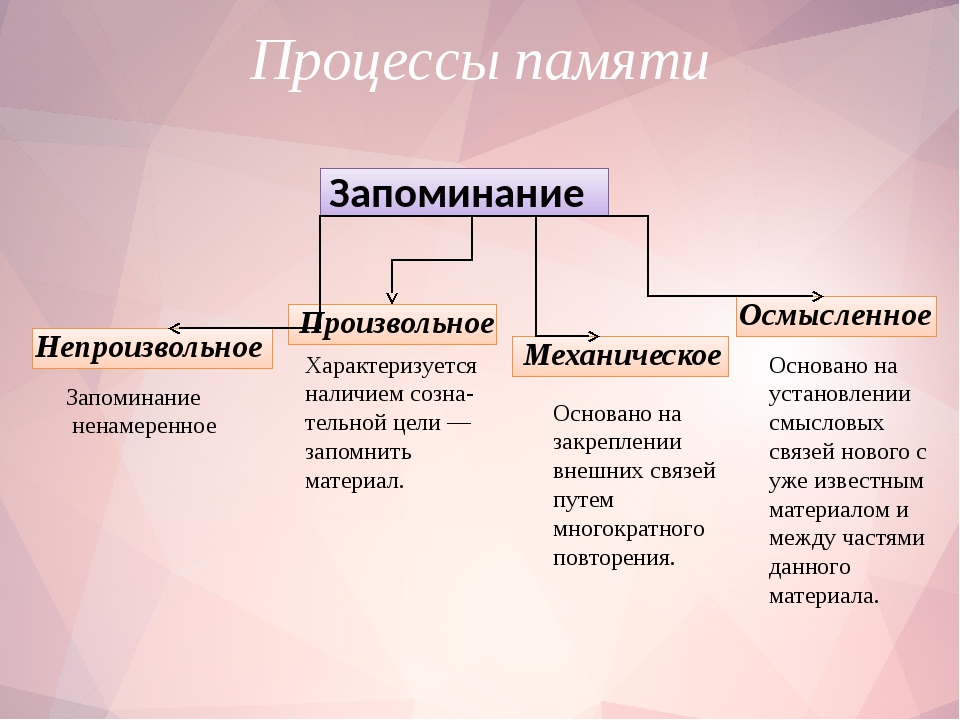 Классификации процессов памяти. Процессы памяти. К основным процессам памяти. Основные виды и процессы памяти. Характеристика процессов памяти.