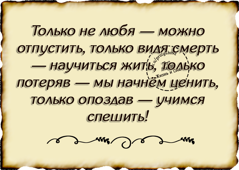 Право жить и любить. Любите жизнь цитаты. Цитаты про жизнь и любовь. Цитаты про смех. Про любовь жизнь и смех.