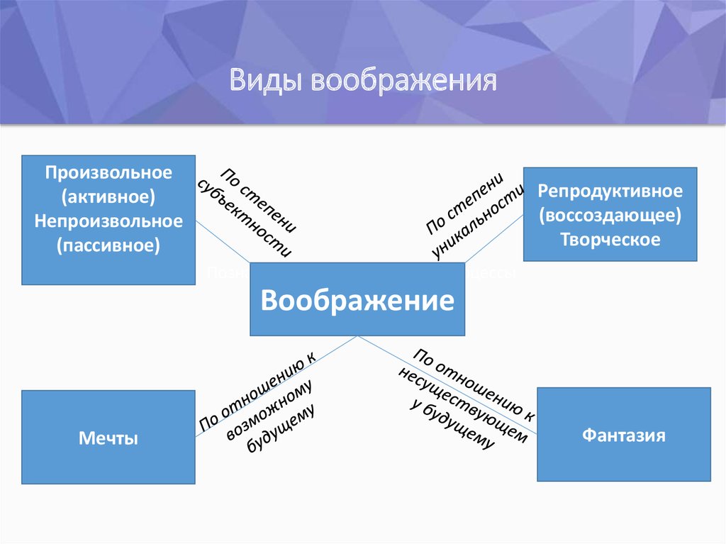 Виды воображения