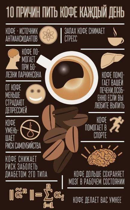 Сколько продолжается действие кофе
