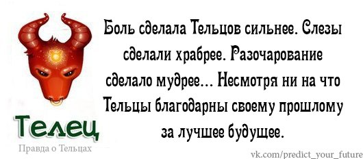 Инициатива мужчины тельца. Факты о тельцах женщинах. Факты о тельце. Коротко о тельцах. Факты о тельцах мужчинах.