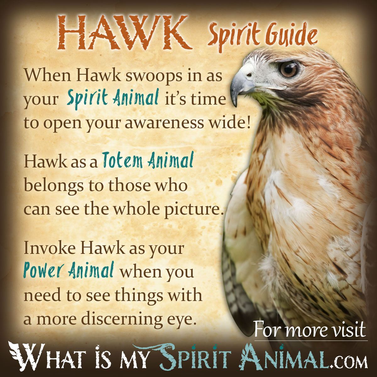 Hawk Spirit Totem Power Animal Symbolism Meaning 1200x1200
