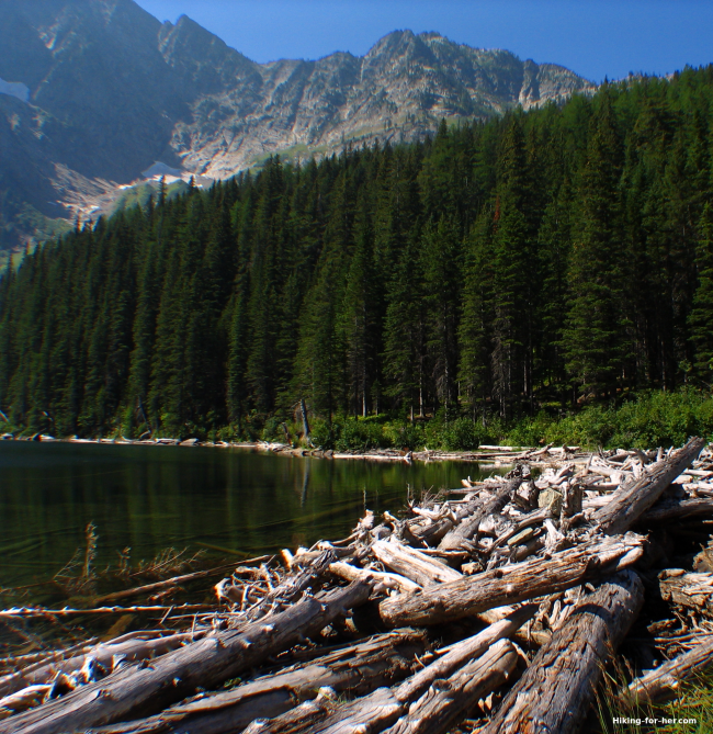 Alpine lake with log detritus at outlet on a sunny day in the mountains