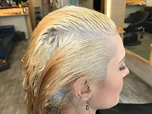Pre-Lightened Hair - Level 10